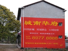 安仁百分之90的人都不了解的农村墙体广告