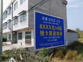 安仁墙体广告质量分析