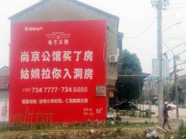 安仁墙体广告在乡镇、农村市场的媒体优势