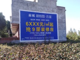 安仁品牌公司青睐的墙体广告