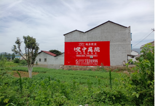 安仁做墙体广告的意义